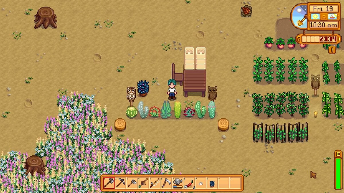 Stardew Valley — Суккуленты - новые растения