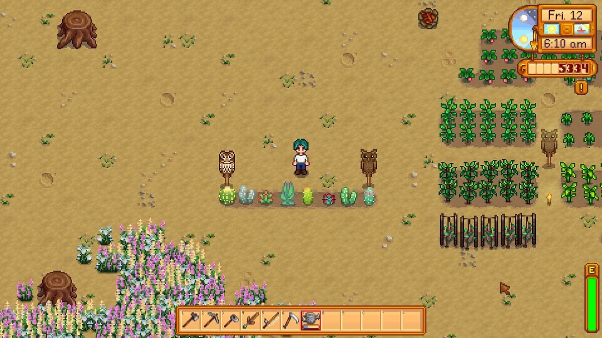 Stardew Valley — Суккуленты - новые растения