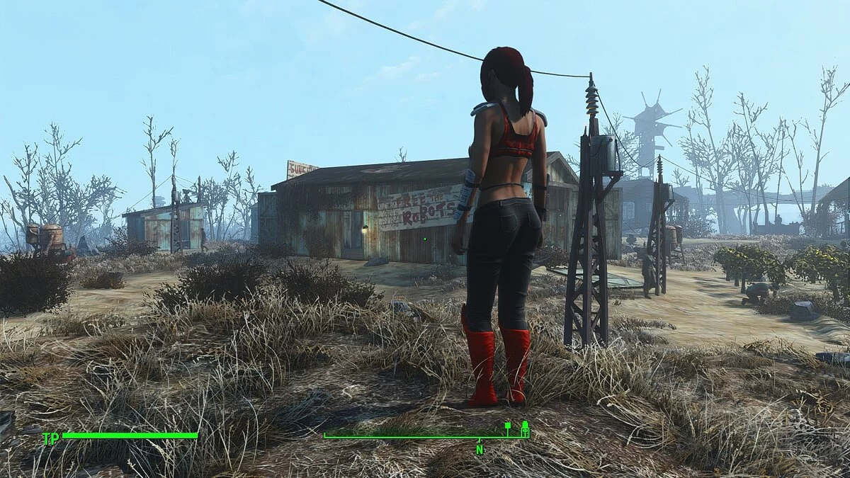 Fallout 4: Game of the Year Edition — Скарлет - полностью озвученный компаньон