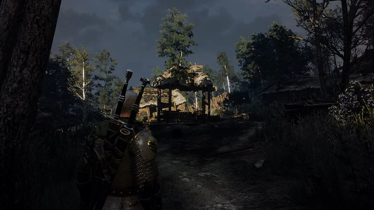 The Witcher 3: Wild Hunt - Complete Edition — Кошачье зрение