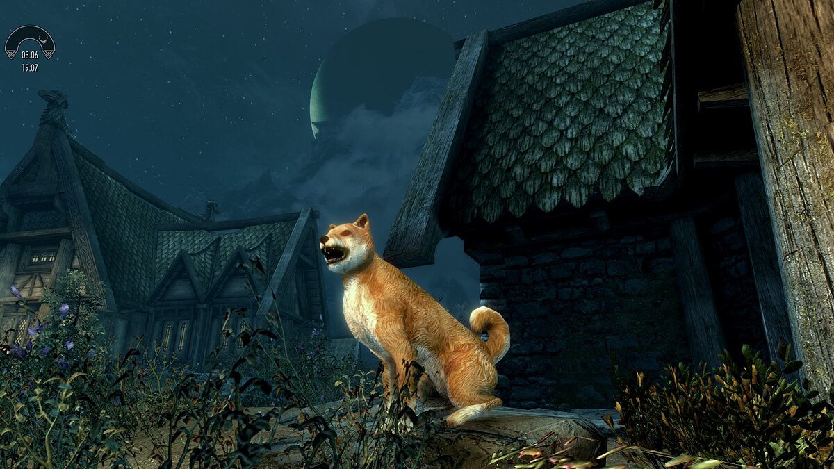 Elder Scrolls 5: Skyrim Special Edition — Собака - компаньон