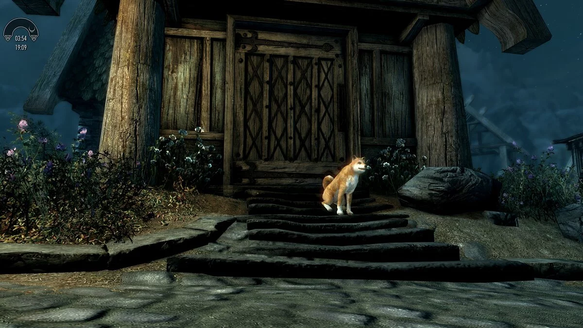 Elder Scrolls 5: Skyrim Special Edition — Собака - компаньон