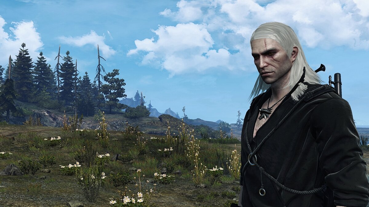 Geralt face retexture face from the witcher 3 фото 15