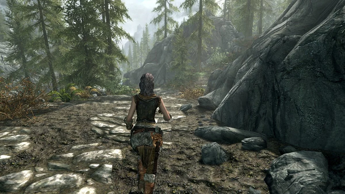 Elder Scrolls 5: Skyrim Special Edition — Простая анимация женского бега