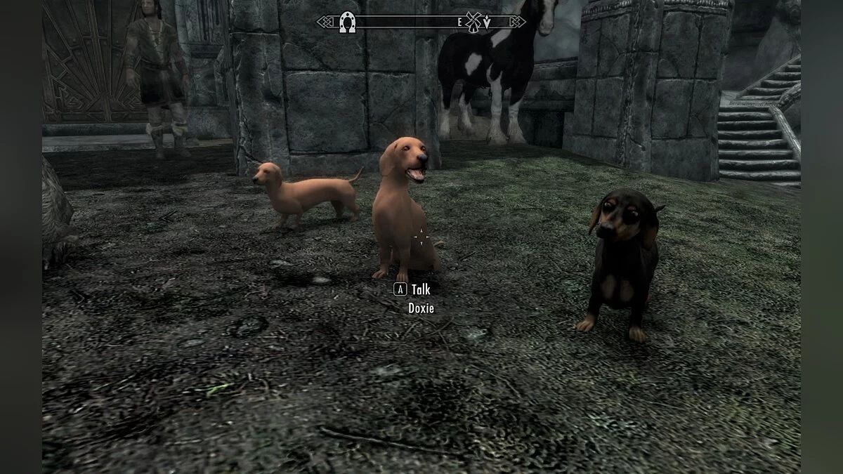 The Elder Scrolls 5: Skyrim Legendary Edition — Таксы компаньоны 