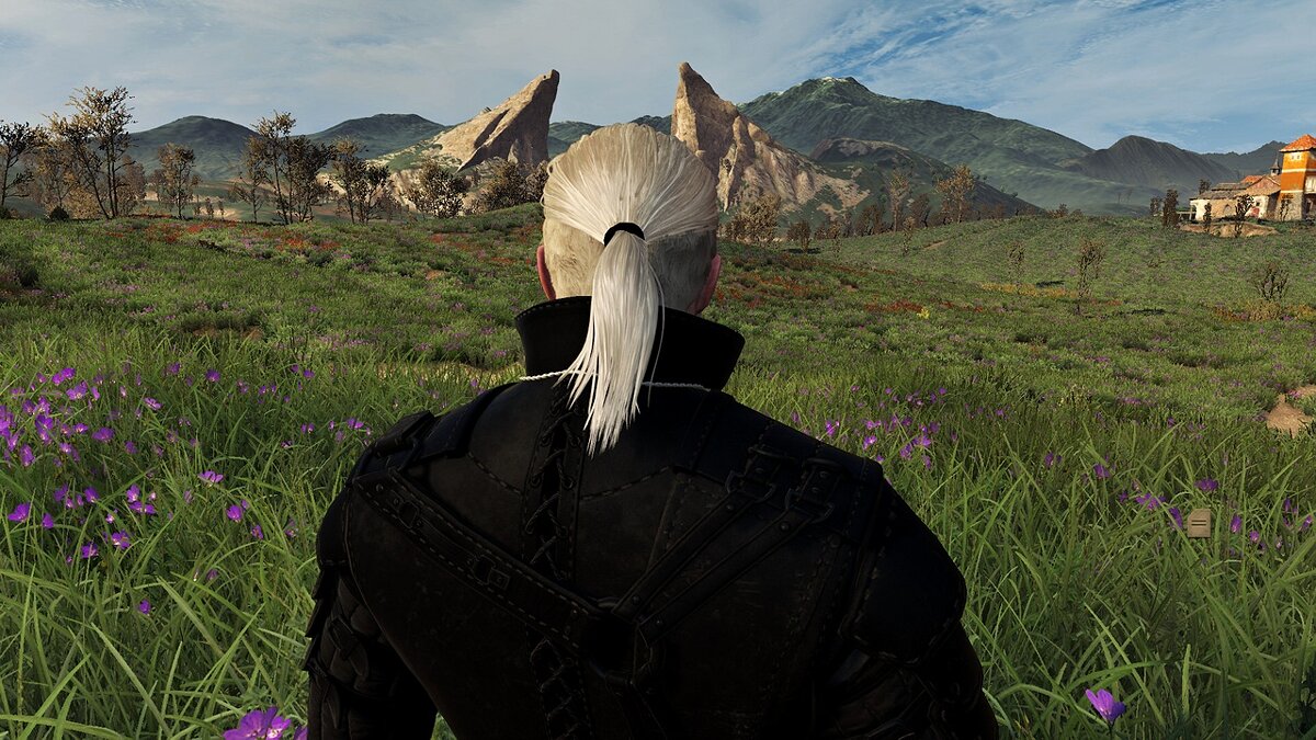 The Witcher 3: Wild Hunt - Complete Edition — Черная резинка для волос