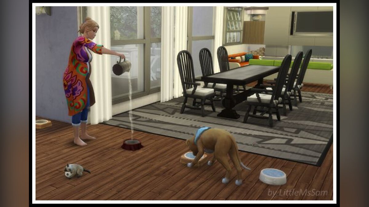 The Sims 4 — Миски с водой для питомцев (01.07.2020)