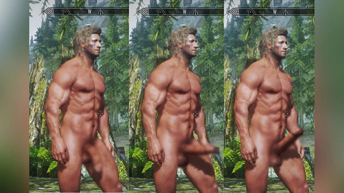 Скиримдегі еркек пенисі