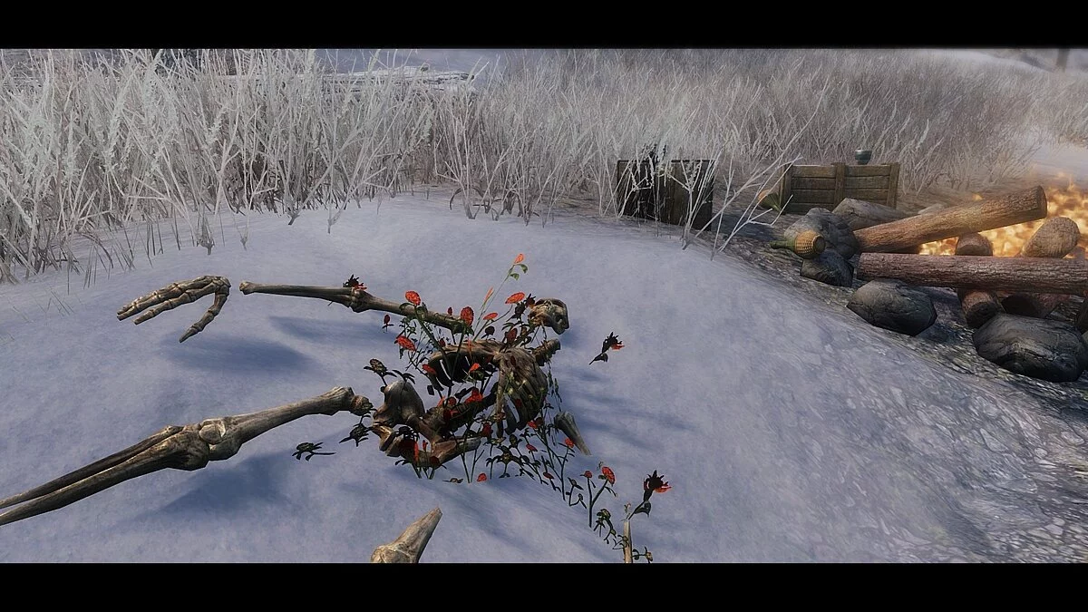 Elder Scrolls 5: Skyrim Special Edition — Двенадцать новых загадочных мест