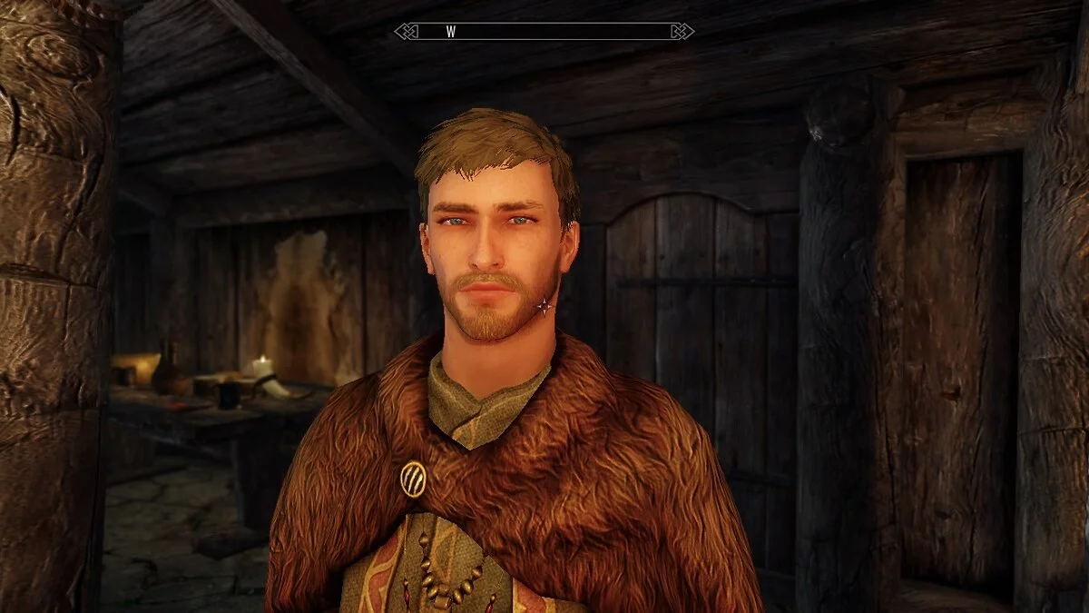 Elder Scrolls 5: Skyrim Special Edition — Алек - мужской пресет