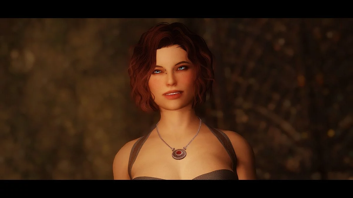 The Elder Scrolls 5: Skyrim Legendary Edition — Компаньон Салина (ремейк)