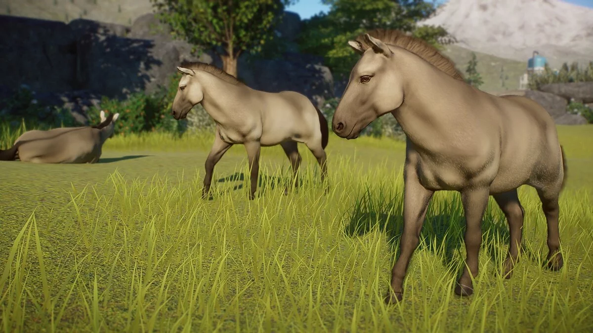 Planet Zoo — Тарпан