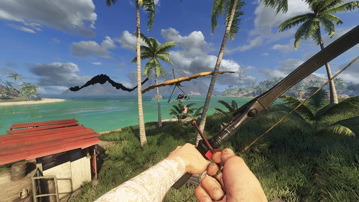 Far Cry 3 — Кооперативный режим