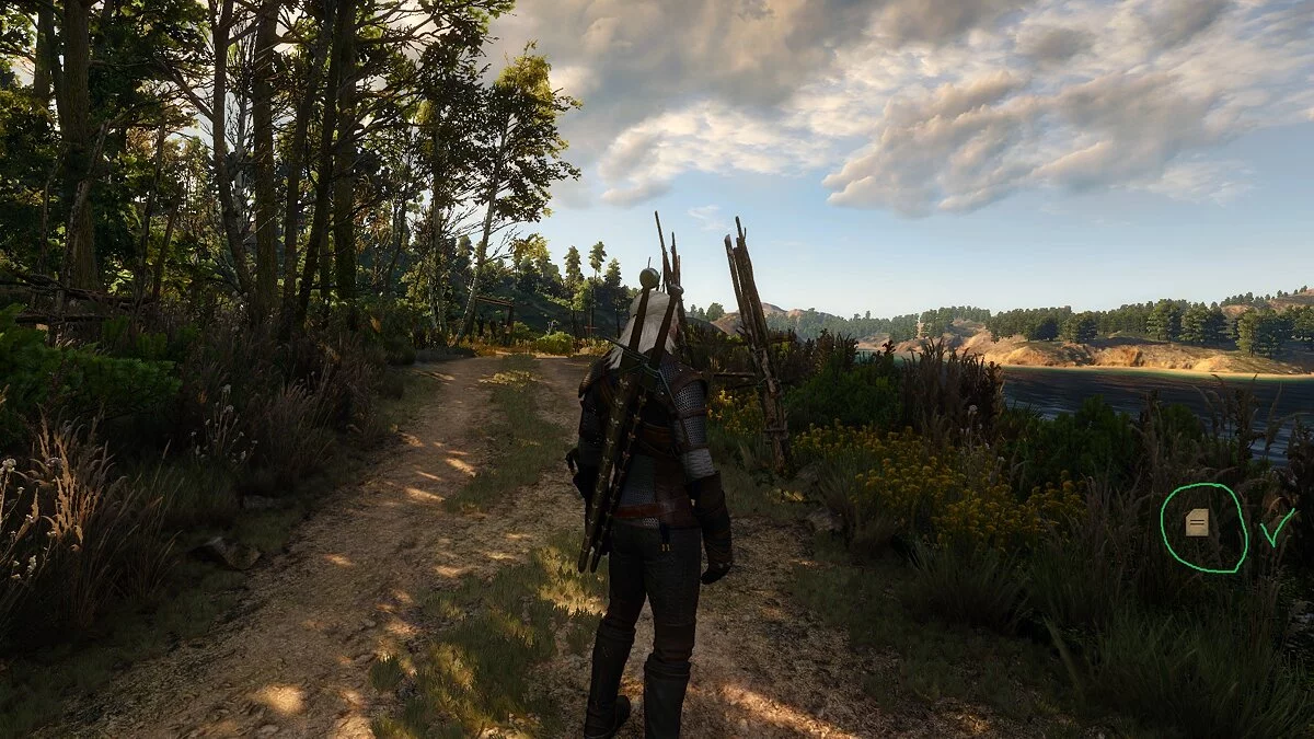 The Witcher 3: Wild Hunt - Complete Edition — Удаление сообщения о быстром сохранении