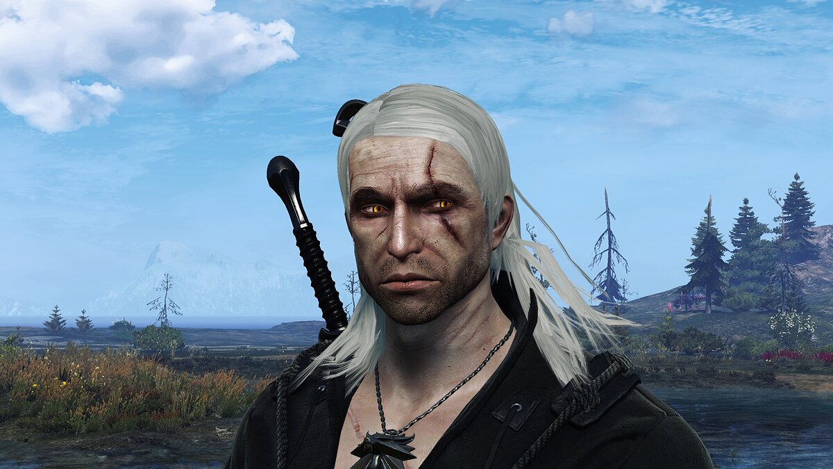 Geralt face retexture face from the witcher 3 фото 6