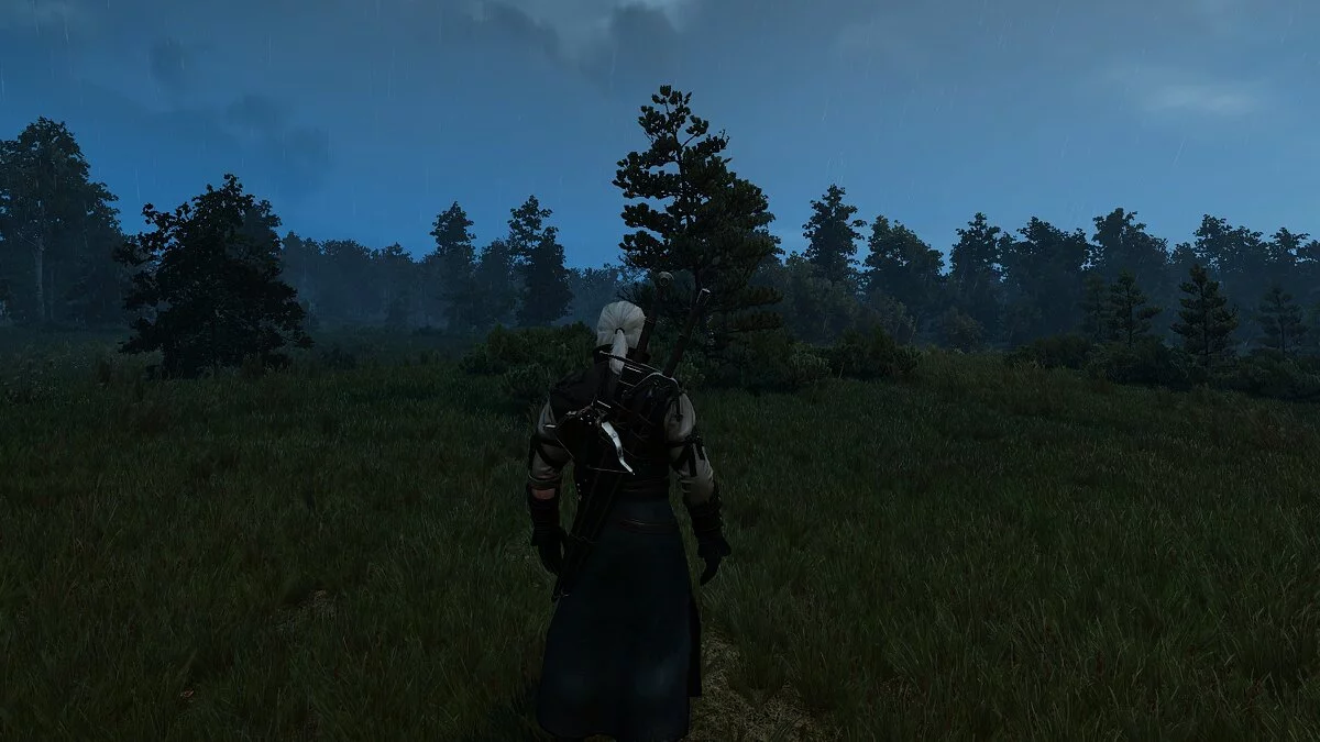 The Witcher 3: Wild Hunt - Complete Edition — Артефакт ясной погоды