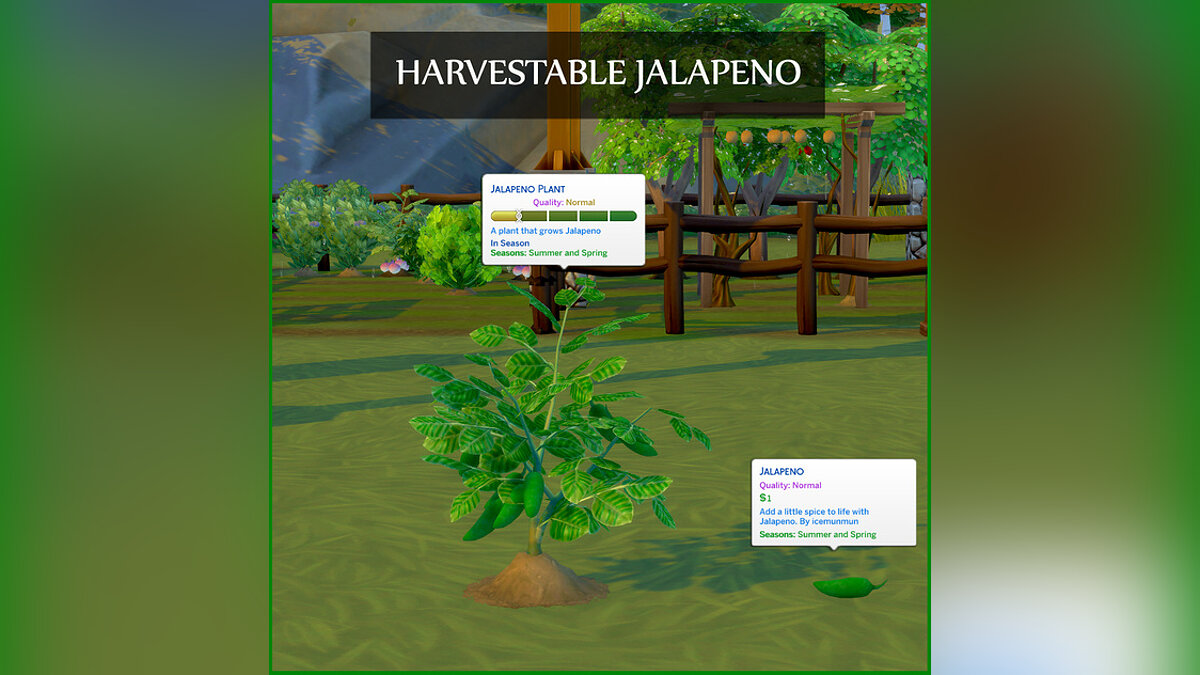 The Sims 4 — Урожай халапеньо