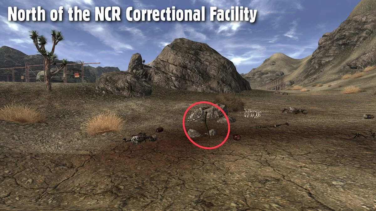 Fallout: New Vegas — Оружие ле бонк