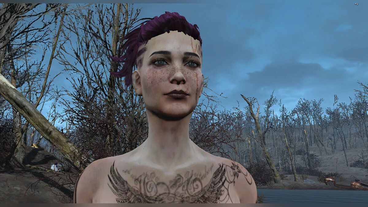 Fallout 4: Game of the Year Edition — Пресет Рэйчел