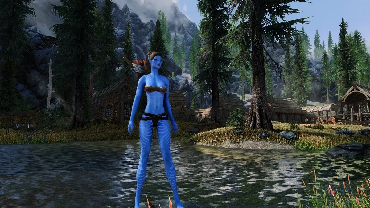 Elder Scrolls 5: Skyrim Special Edition — Пресет аватар