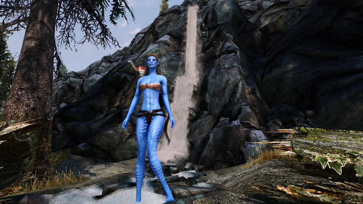 Elder Scrolls 5: Skyrim Special Edition — Пресет аватар