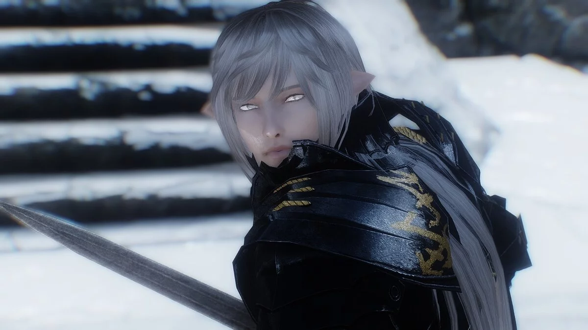 The Elder Scrolls 5: Skyrim Legendary Edition — Компаньон Рэн