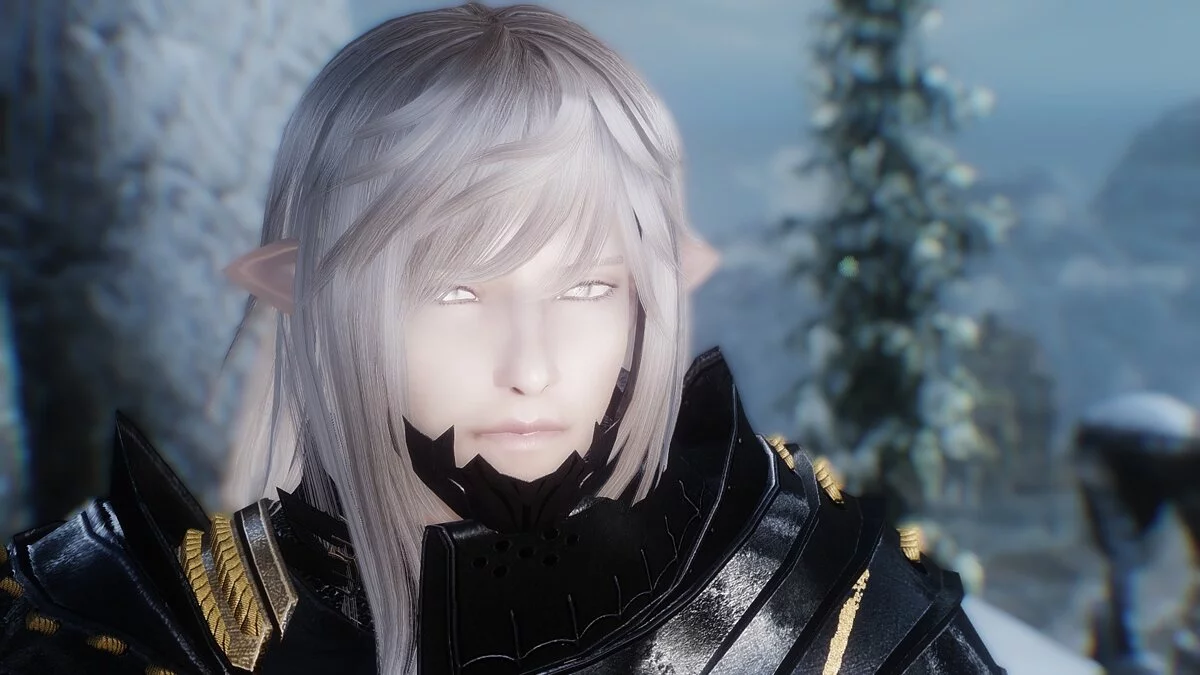 The Elder Scrolls 5: Skyrim Legendary Edition — Компаньон Рэн