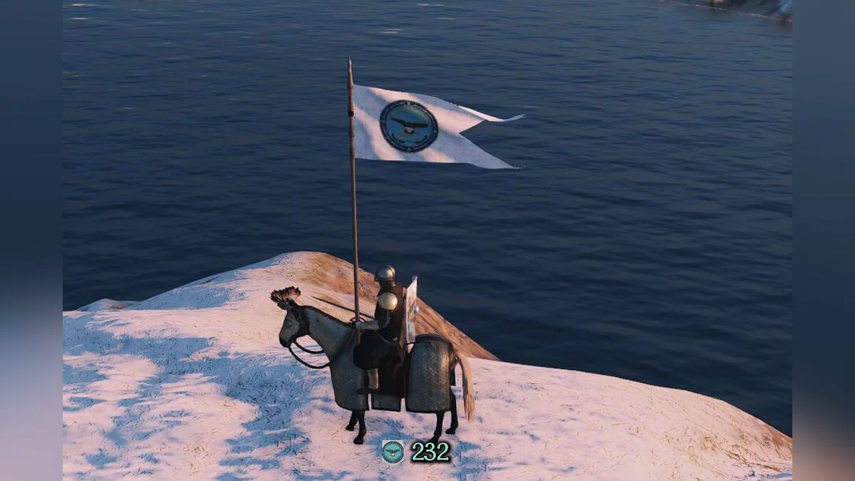 Mount &amp; Blade 2: Bannerlord — Флаг Министерства обороны США