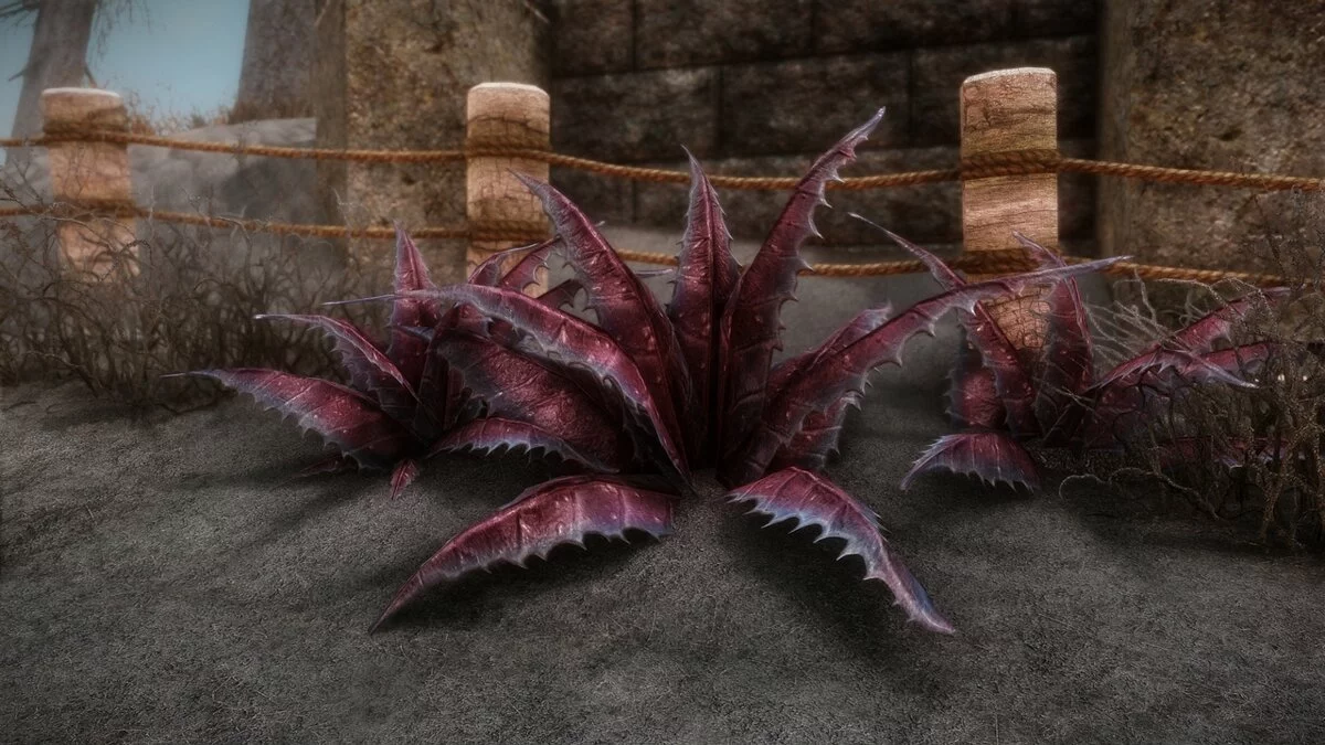 Elder Scrolls 5: Skyrim Special Edition — Вредозобник в HD