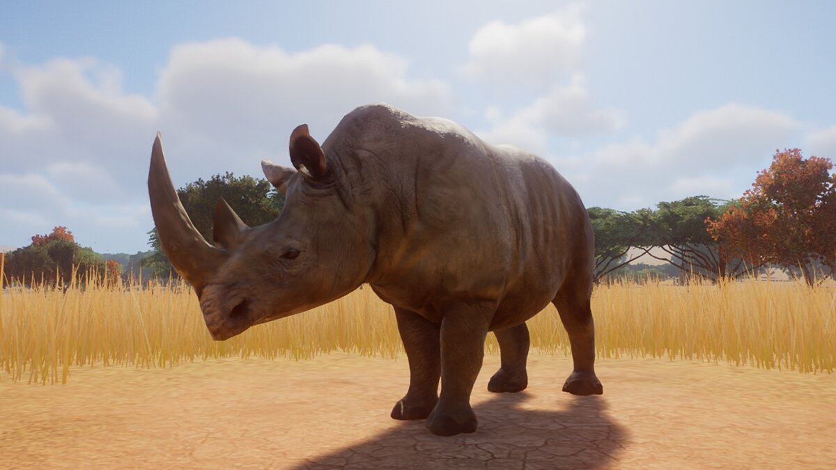 Planet Zoo — Белый носорог