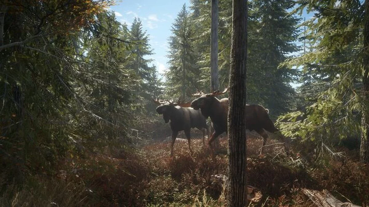 theHunter: Call of the Wild — Таблица для Cheat Engine [UPD: 10.07.2020/1863225]