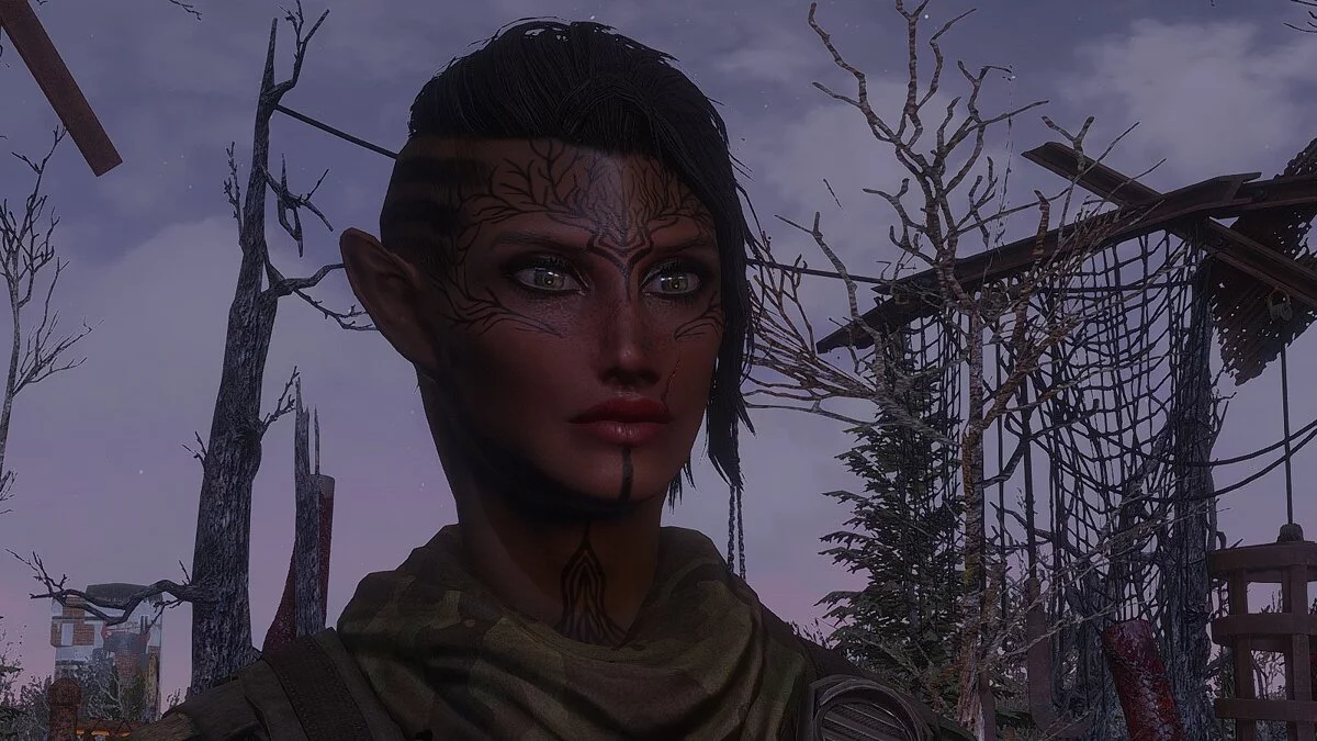 Fallout 4: Game of the Year Edition — Пресет эльфа