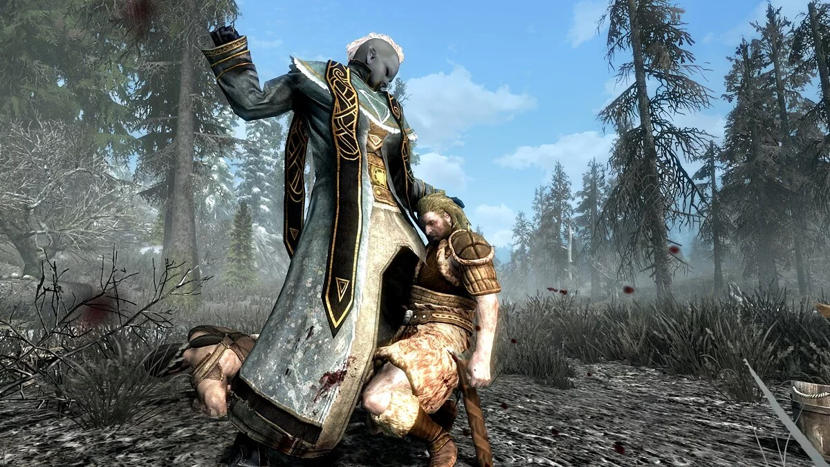 Elder Scrolls 5: Skyrim Special Edition — Компаньон Кико