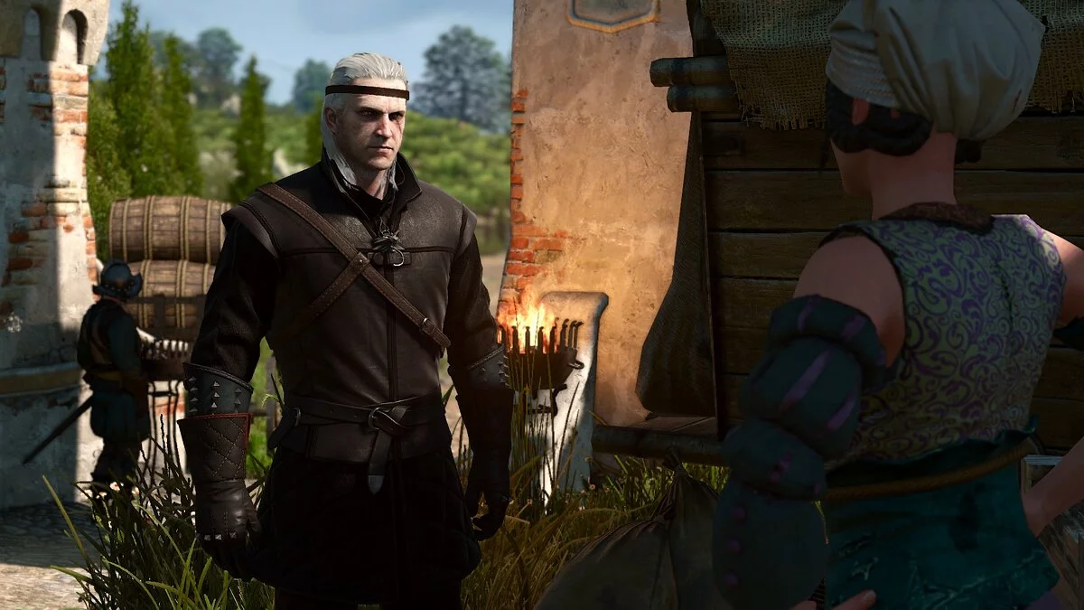 The Witcher 3: Wild Hunt - Complete Edition — Волосы за воротником