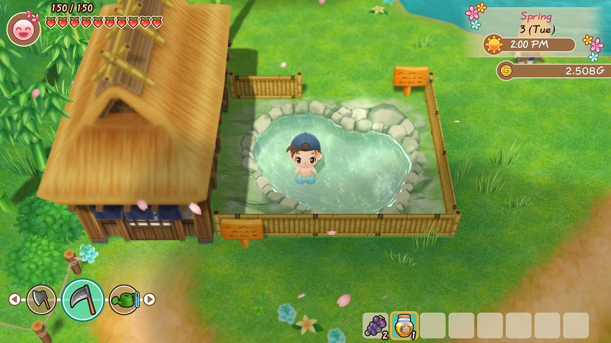Story of Seasons: Friends of Mineral Town — Таблица для Cheat Engine [UPD: 16.07.2020/3.6]