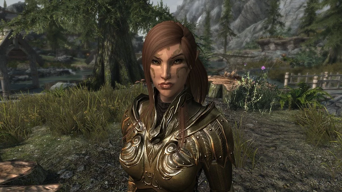 Elder Scrolls 5: Skyrim Special Edition — Эрвенет - пресет босмера