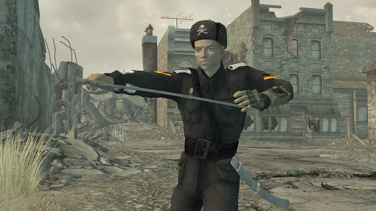 Fallout 3 — Форма черных гусаров