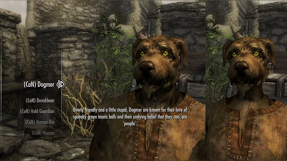 Elder Scrolls 5: Skyrim Special Edition — Новые необычные расы