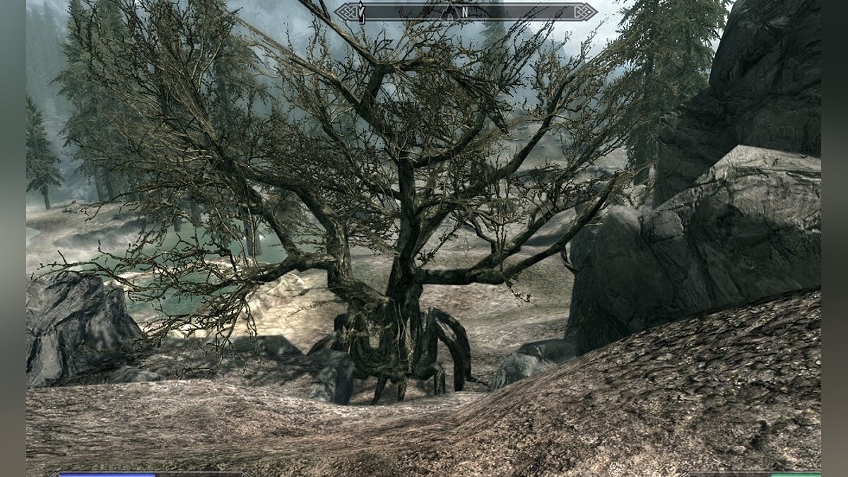 The Elder Scrolls 5: Skyrim Legendary Edition — Ходячие деревья