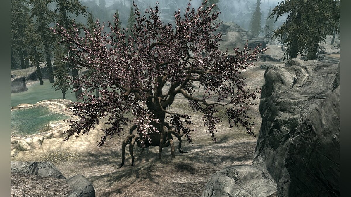 The Elder Scrolls 5: Skyrim Legendary Edition — Ходячие деревья / Существа  и монстры / Персонажи и игроки