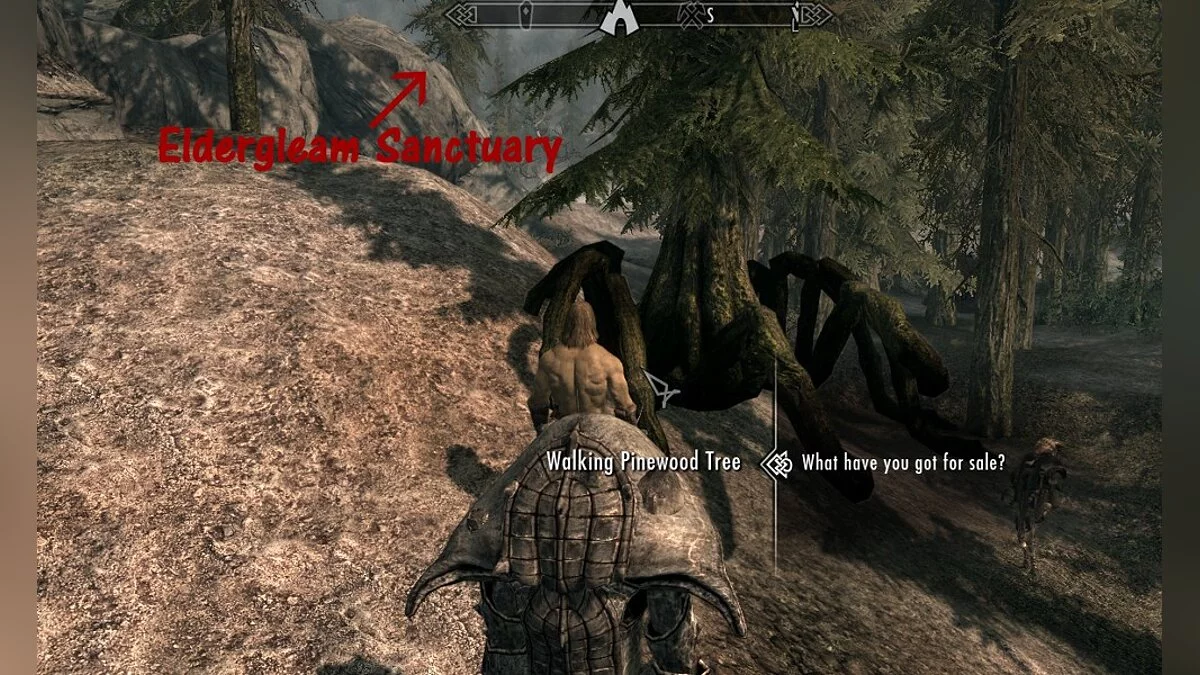 The Elder Scrolls 5: Skyrim Legendary Edition — Ходячие деревья