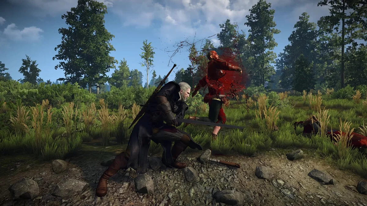 The Witcher 3: Wild Hunt - Complete Edition — Отключение финишной камеры