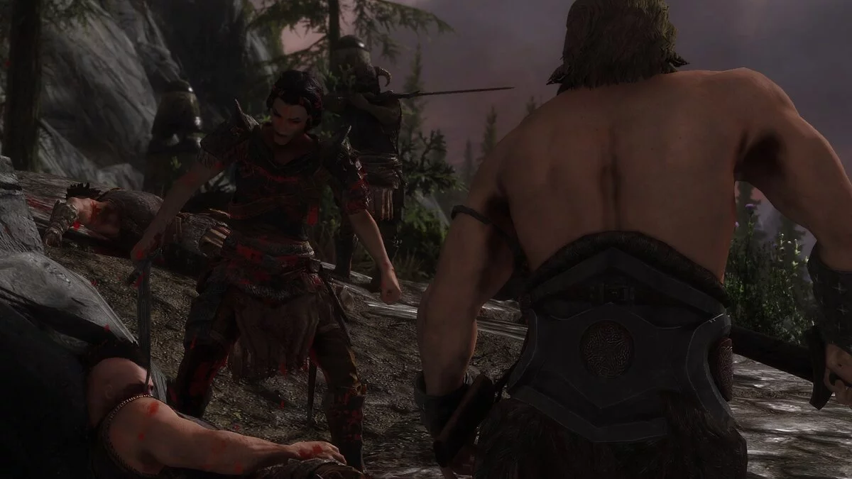 Elder Scrolls 5: Skyrim Special Edition — Грязь и кровь - динамические визуальные эффекты