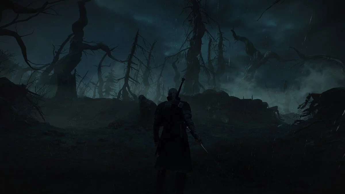 The Witcher 3: Wild Hunt - Complete Edition — Профессиональная экипировка