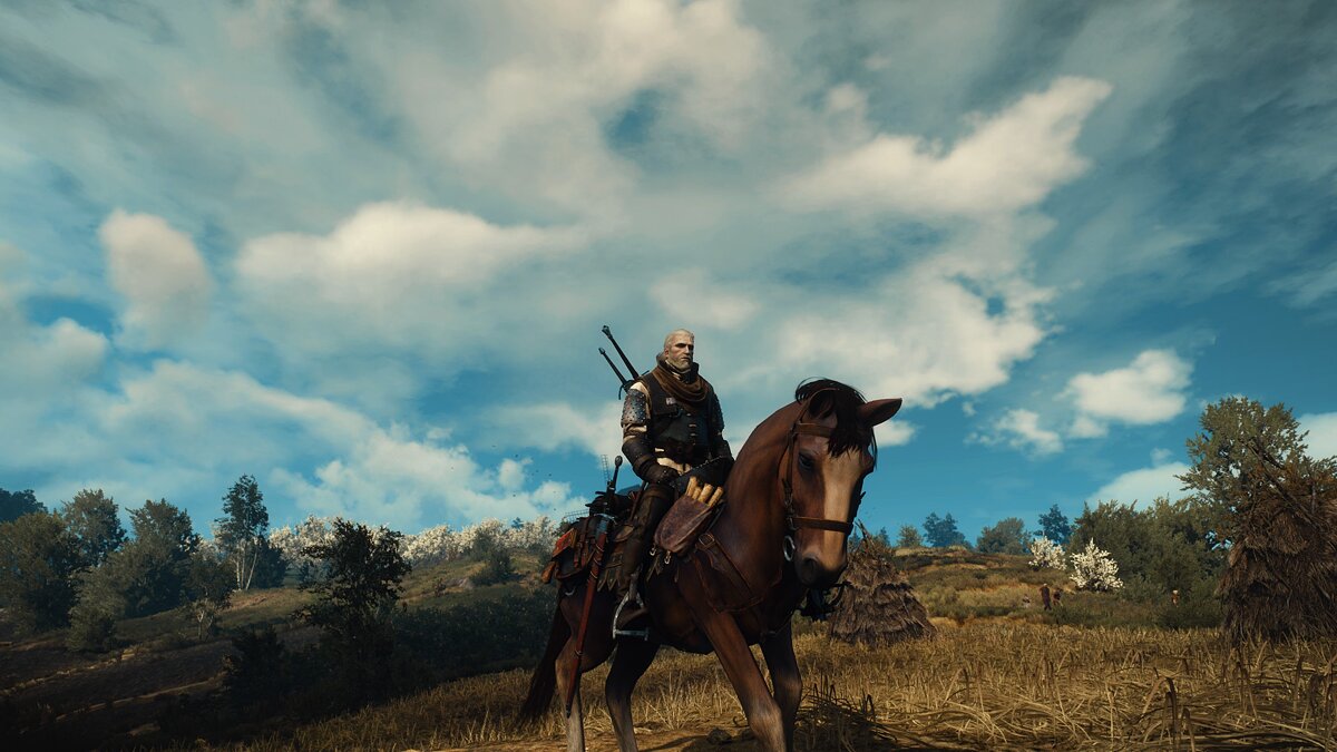 The witcher 3 complete edition моды фото 16