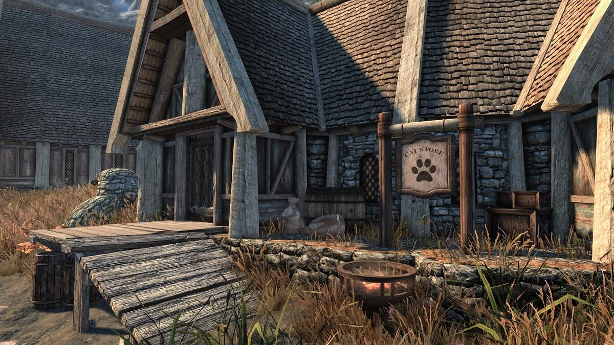 The Elder Scrolls 5: Skyrim Legendary Edition — Кошачья жизнь