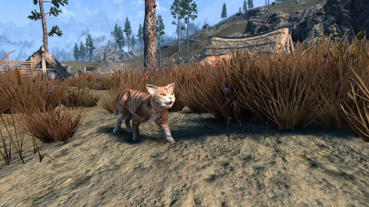 The Elder Scrolls 5: Skyrim Legendary Edition — Кошачья жизнь