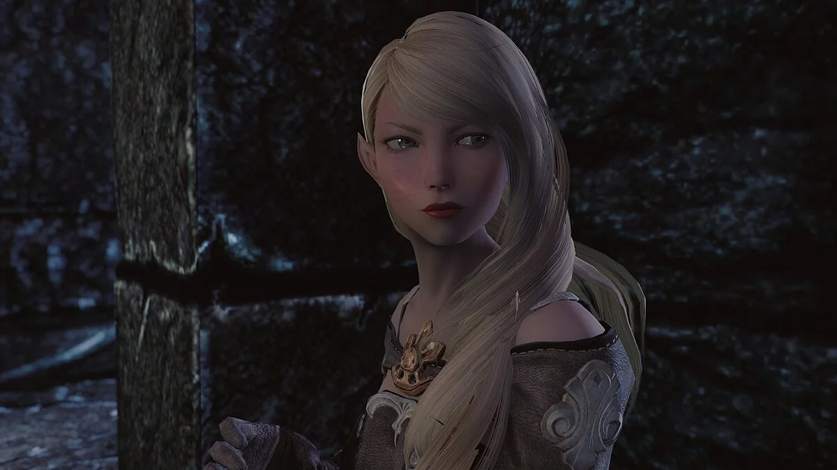 Elder Scrolls 5: Skyrim Special Edition — Компаньон Ивис Виснар