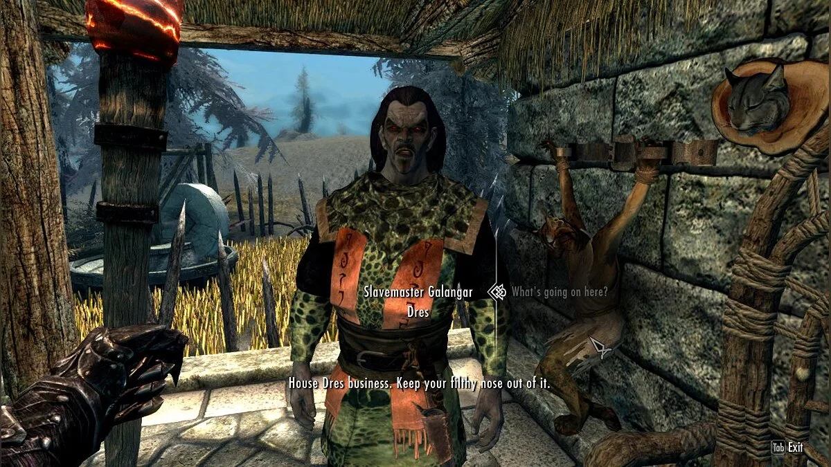 The Elder Scrolls 5: Skyrim Legendary Edition — Дом Дрес - работорговля