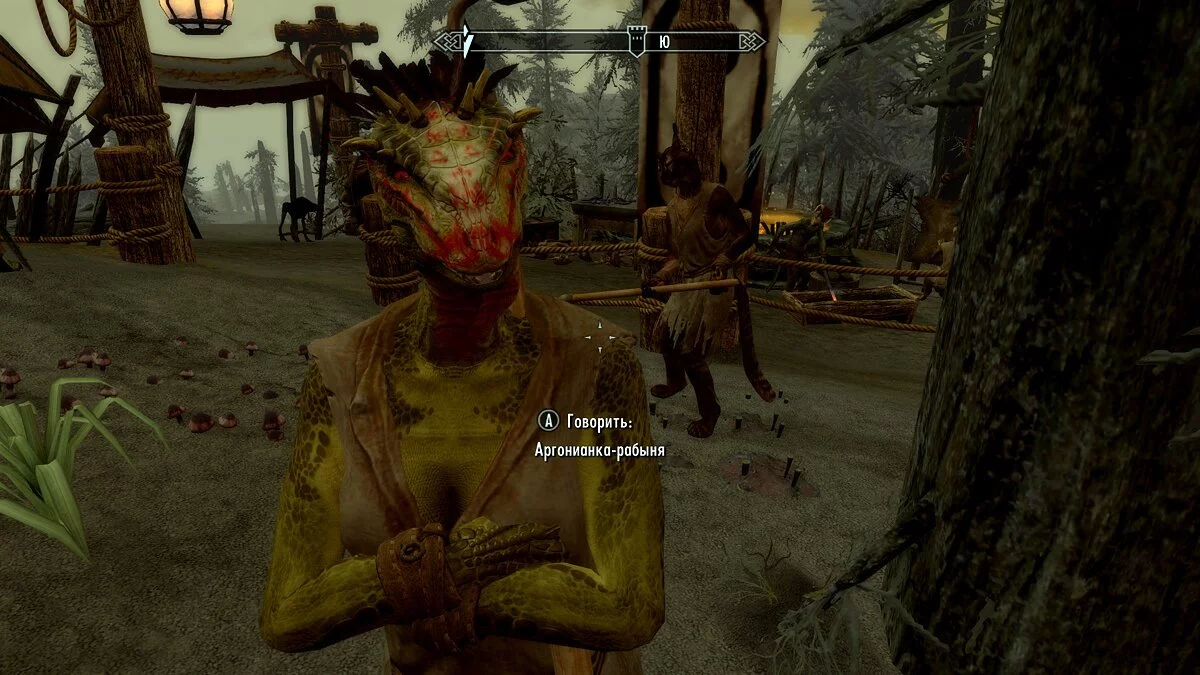 The Elder Scrolls 5: Skyrim Legendary Edition — Локализация мода «Дом Дрес - работорговля»